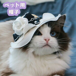 ybgpXq ybgpnbg Lp p ^ hbO ڂ Rt ߉ 悯  O΍ U  킢 o ߂ Ck  L lR ˂ Lbg 