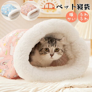 ybgpQ ybgxbh L ~ g ybgnEX ΍ ۉ h ybgNbV @\ I[V[Y 薰 Lp tt ӂӂ  킢 􂦂 