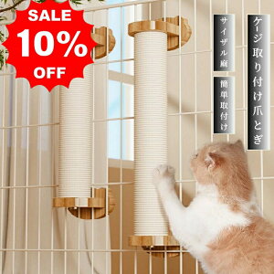 L ܂Ƃ P[Wt ˂ ܌ VRTCU P[Wp ȃXy[X |[ ߂Ƃ  LpQ[W ybgQ[W t ȒP c^ lC lR Lbg|[ XgX ^