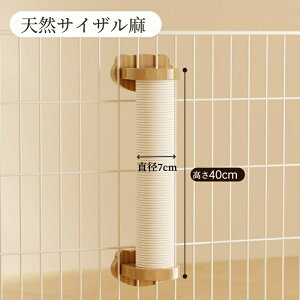 L ܂Ƃ P[Wt ˂ ܌ VRTCU P[Wp ȃXy[X |[ ߂Ƃ  LpQ[W ybgQ[W t ȒP c^ lC lR Lbg|[ XgX ^