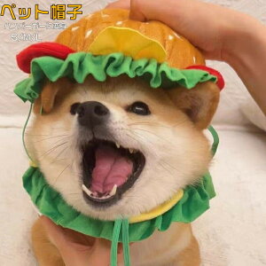 ybgXq  no[K[ t[h wAANZT[ L I ybg L Be  ANZT[ ӂӂ 낢 v[g ߑEFA t@bVACe nbg wbho