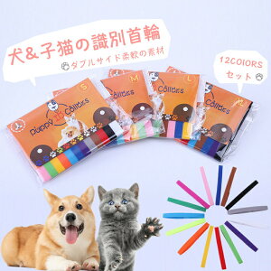 ybgpʎ qL qp _uTCh_̑f ps[p 12FZbg q&qL̎ ߉\ ȒPE q }WbNe[vt VybgLp̒\