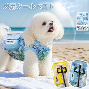 |Cg10{  N[xXg MǑ΍ N[xXg pĕ N[xXg ⊴ pxXg n[lX CM Ђ ʋC ^ ėp  [ht hbOEFA 