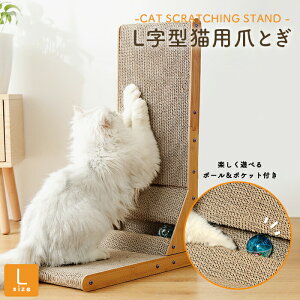 y  zL̒܂ƂL^܂ tyLTCYz L kR lR ˂ ܂Ƃ ߂Ƃ cgM 킢  JCC  IV k  cat Lbg ybg