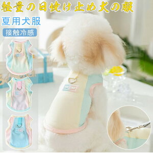   ėpybg y  ڐG⊴CXg  ⊴ L   pxXg ^  t ^ hbOEFA ybg ̕ n[lX o U _炩 