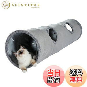 yzPAWZ Road L gl L    gl ܂肽  v XG[h lV ^s LbggC ybgߋ lC ybgpi - M O[