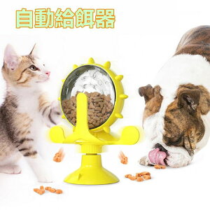 yP5{1990~1891~ 10/17܂Łz L aH a GT Lpt[h ybga ybgpi ߋ V Hh~ Hh~ H L Hh~ H  Hh~  