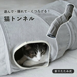 Lbggl L  ܂肽ݎ [֗ ˂gl LbggC É^Cv 􂢉\ lRpi B LV XgXU ^s΍ p Ή ybg