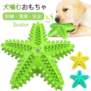    qgf Oj[Y  ނ  uV  ߋ S ̃N[jO  L\h Η\h XgX ^s mߋ P