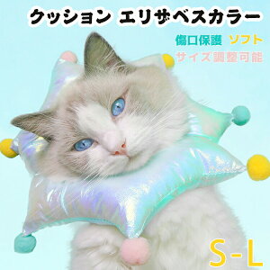 GUxXJ[ L  \tg NbV _炩 ybgp 킢 ӂӂ y 񌳃NbV  p  ی rߖh~ rߖh~ Lp sG PP  ы  