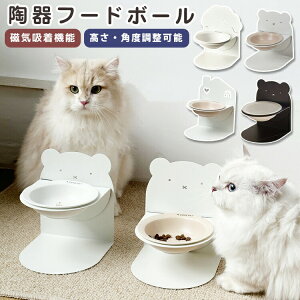 t[h{E X^h  L  H }Olbg ΋z X H  Hׂ₷ Z~bN ~ \ O r ]|h~ e ΂ Lp p юM M 