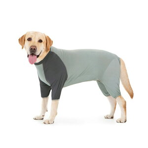   Č ڐG⊴ UVJbg 悯   t  N[EGA ^ ^ ybg  MǑ΍ ybg N[ Č  ėpbV ybg Ȃ Jo[I[ Lk hbOEF