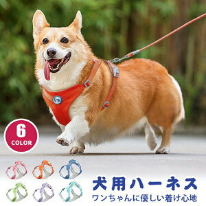  n[lX  h~ pi SȂ ȒP Oo s⏕n[lX }J q ^ ^ L ɂ  킢 ybgpn[lX n[lX ps[ 