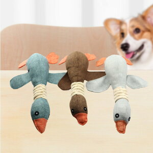   ނ ނ ̏o邨 pނ ybg XgXU YY   v ϋv ^/^/^ɑΉ 