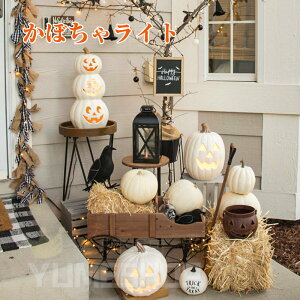 �n���E�B�� ���� �J�{�`�� ���O ���� �u�� ���ڂ��჉�C�g 15��� �J�{�`���^���C�g �C���e���A ���ڂ��Ⴢ�`�[�t ���O�p�����^�� LED���C�g �d�r�� ������ �f�R���[�V���� halloween �O�b�Y �p