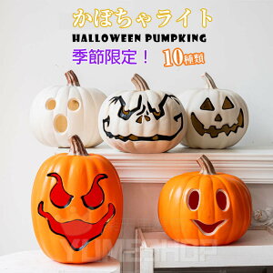 nEB u   ͋C   CeA nEB  ڂ p[eB[ u t  J{` fR[V halloween led Cg ڂჂ`[