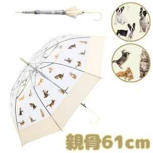 P rj[P P P 킢P P  ybg ӂӂ팢  ؍ K[[ ߂킢 ObY ~J΍ ʋΒʊw wP yʎP Ή 