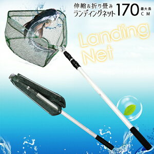 yzLk܂肽݃fBOlbg 170cm Ȃ ʖ ^  ^  ܂肽 ܂ ނ Vtg  Op Lk  ^  ނ tBbVOlb