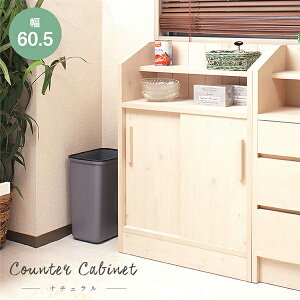 yYizJE^[ɂˎ[F60.5cm