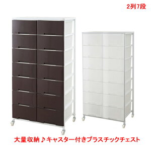 S̓{ ʎ[ LX^[tvX`bN`FXg 27iio14tj^Cv