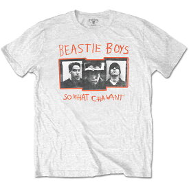 BEASTIE BOYS ビースティ・ボーイズ　 SO WHAT CHA WANT T-shirt　Tシャツ・オフィシャル！