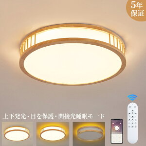 y㉺zV[OCg LED F 6 8 10 12 ؖڒ X}z ^C}[ ی^ L@\ł 铔 ڂɗD dC ߓd  VƖ Ceiling Light 铔 d Ɩ 
