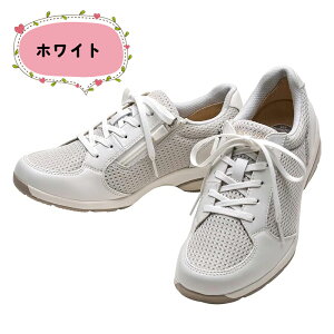 �Ђ��ɗD���� �A�T�q���f�B�J���E�H�[�N WK L029 �E�H�[�L���O�V���[�Y ���f�B�[�X �y�� �����₷�� ���ɂ��� �t�@�X�i�[�t�� asahi AMW(21.5�`25.0cm/3E) KV7848 �t�b�g�P�A �X�j�[�J�[ �����₷�� 