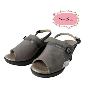 AKASHI A[`tBb^[ AJCV@3_A[`ŃT|[g@Xgb`T_ RtH[gobNxgItBXT_ fB[XT_ RtH[gT_  ₷ 