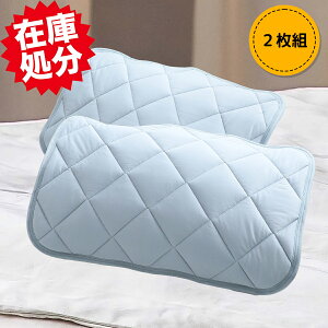  Dꂽx́ ƂƂ̔GI T[AWXg pbhF2g 43×63cm 175gi1j @  u[ JtFIsN