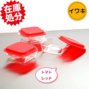 iwaki CL@ϔMKX t^t I[ug[X^[M n[t@3_Zbg