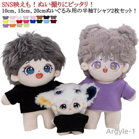 【送料無料】15cm 20cm 2枚セット ぬいぐるみ用服 ぬいぐるみ用 Tシャツ 半袖 ミニ洋服 着せ替え 10cm 人形 アイドル衣装 コスチューム 日常