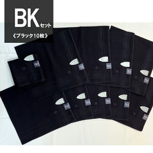 nJ` POLO | BCS Iׂ 10 Zbg v[g Mtg  uC_   fB[X Y uh yA EGfBO  100 Rbg K[[ 킢  Vv