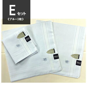 _Iׂ 3 Zbg^ nJ` POLO |  uC_  BCS v[g v` Mtg  fB[X Y uh yA EGfBO  100 Rbg K[[ 킢 