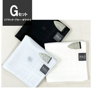 _Iׂ 3 Zbg^ nJ` POLO |  uC_  BCS v[g v` Mtg  fB[X Y uh yA EGfBO  100 Rbg K[[ 킢 