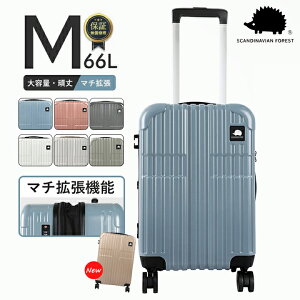 L[P[X MTCY y XJWirAtHXg SCANDINAVIAN FOREST s X[cP[X e @ hNz_[ LX^[bNt TSAbN É 4 66L  }