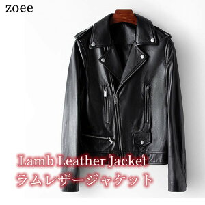 y݌ɋ͂zU[WPbg fB[X {v rv@H~ V[gAE^[Vv n ubN@M/L/2L j1b47