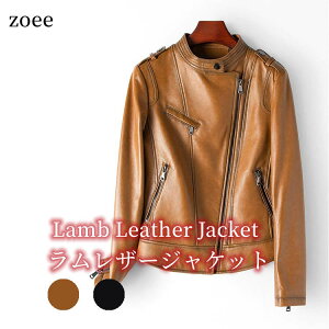 y݌ɋ͂zU[WPbg fB[X {v rv@H~ V[gAE^[Vv n ubN LuE@M/L/2L/3L j1b51