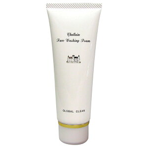 y KizVtH[ 82g V  A VF[rOtH[ Ό@ GLOBAL CLEAN O[oN[