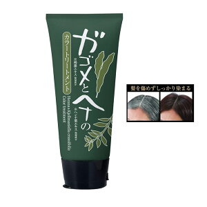 KSƃwĩJ[g[gg 200g _[NuE ubN  Xɐ܂ 