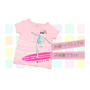 carter'siJ[^[YjTVc@sN[×wg菭x 6Mor18M q TVc  vgTVc S̒Sn TVc  ̎q Ԃ oYj