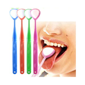 uV W-1 1{ _u VLG N[i[ 㖁 L \h L΍   ݂ uV SHIKIEN