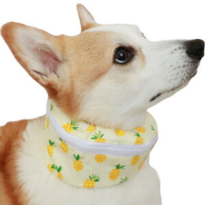 yX[p[Z[聝10%OFFN[|z  N[lbN ۗ t  ΍ O  MǑ΍ p lbNN[[ ЂObY ^ ^ ^ yLilFamzAh