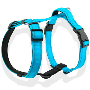  n[lX NbV ^ ^ ^ ɂ Ȃ Eɂ EȂ Č  킢  J̓ S AEghA ȒP bN  p  o U 