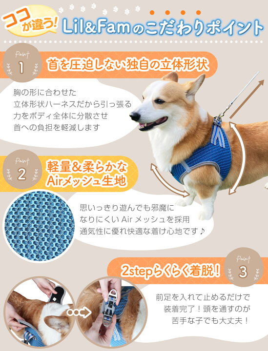 楽天市場】犬 ハーネス おしゃれ 簡単装着 リードセット 小型犬 中型犬 