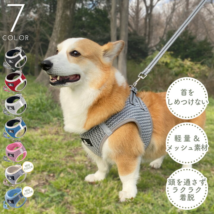 楽天市場】犬 ハーネス おしゃれ 簡単装着 リードセット 小型犬 中型犬 