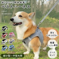 【15%OFFクーポン◎スーパーSALE期間限定】 犬 ハーネス リード 小型犬 犬用 抜けない リードセット おし…