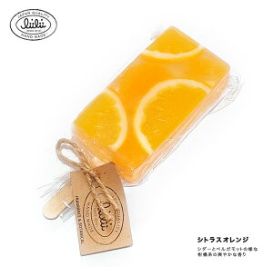 yo[Qza ސE Mtg blC̃t[cΌ erf li'ili'i BB t[cLfBo[ \[v [֑ ސEv`MtgӃv`v[g ΌMt