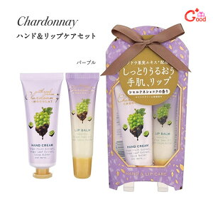 yo[QznhN[ Mtg nhN[ MtgZbg nhN[ v[g   VhlVR nhN[bvN[̃MtgZbg 10 20 