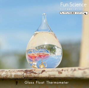 yo[QzKIxv  a6cm KXt[g xv   KXt[g KIxv  SS sN CeAG  CeA u Mtg