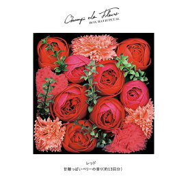 【10%OFFクーポンあり】【バーゲン】クリスマスプレゼント 女性 人気豪華花びら バスペタル 花束 バスフラワー 入浴剤 花束 入浴剤 ギフト 入浴剤 プレゼント 女性 ギフト 送料無料 シャン・ド・フルール フラワーアレンジ バスフラワーギフト 泡風呂 入浴剤 30代 20代